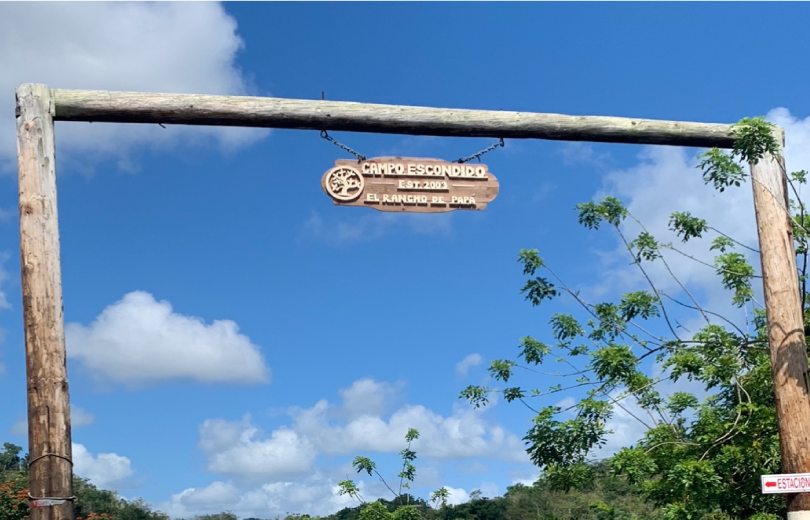 Entrada#2